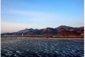 遼寧優惠發國際快遞到國外