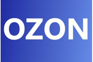 Ozon平臺的賣家如何快速發貨到俄羅斯