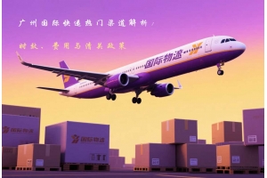 廣州國際快遞熱門渠道解析：時效、費用與清關政策