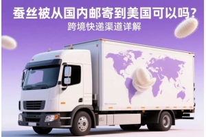 蠶絲被從國內郵寄到美國可以嗎？跨境快遞渠道詳解