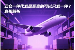 云倉一件代發是否真的可以只發一件？真相解析