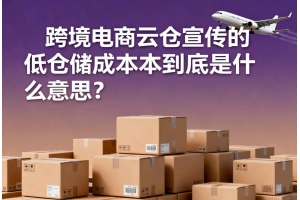 跨境電商云倉宣傳的低倉儲成本到底是什么意思？