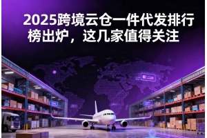 2025跨境云倉一件代發排行榜出爐，這幾家值得關注