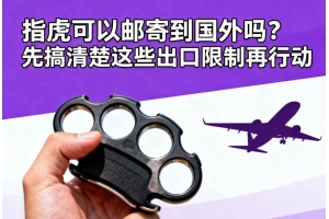 指虎可以郵寄到國外嗎？先搞清楚這些出口限制再行動