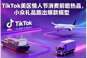 TikTok美區情人節消費前瞻熱品，小眾禮品跑出爆款模型