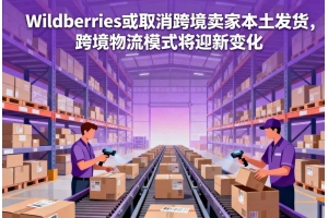 Wildberries或取消跨境賣家本土發貨，跨境物流模式將迎新變化