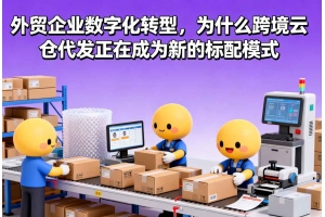 外貿企業數字化轉型，為什么跨境云倉代發正在成為新的標配模式