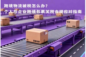 跨境物流被稅怎么辦？個人與企業跨境包裹關稅合規應對指南