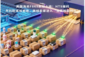 美國海關F865新規上線：HTS編碼不匹配直接拒收，美線賣家進入“資質核驗時代